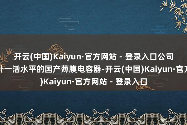 开云(中国)Kaiyun·官方网站 - 登录入口公司勉力于于打造海外一活水平的国产薄膜电容器-开云(中国)Kaiyun·官方网站 - 登录入口
